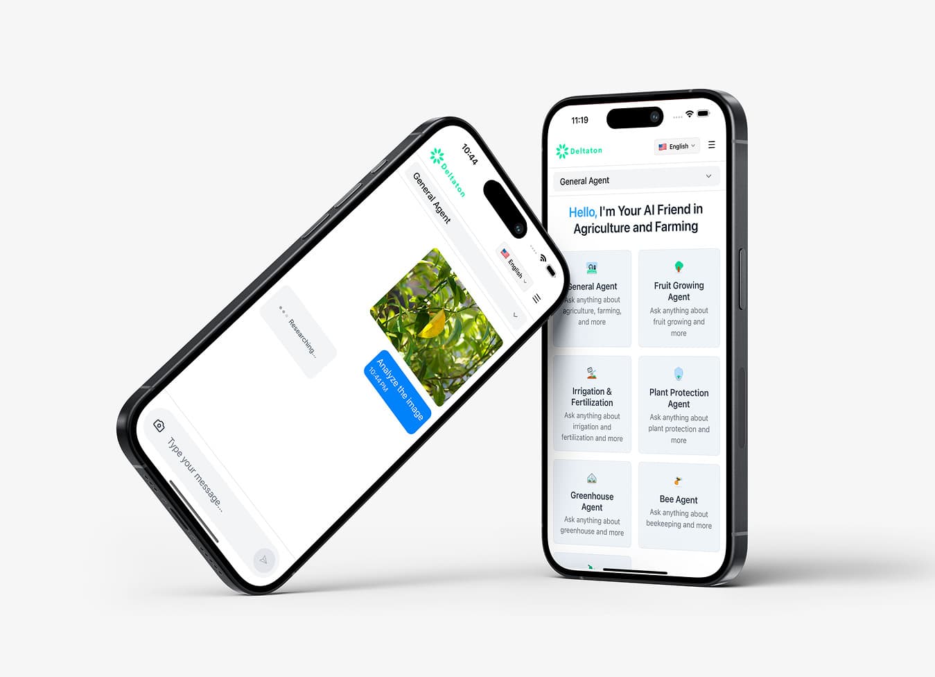 Deltaton project preview